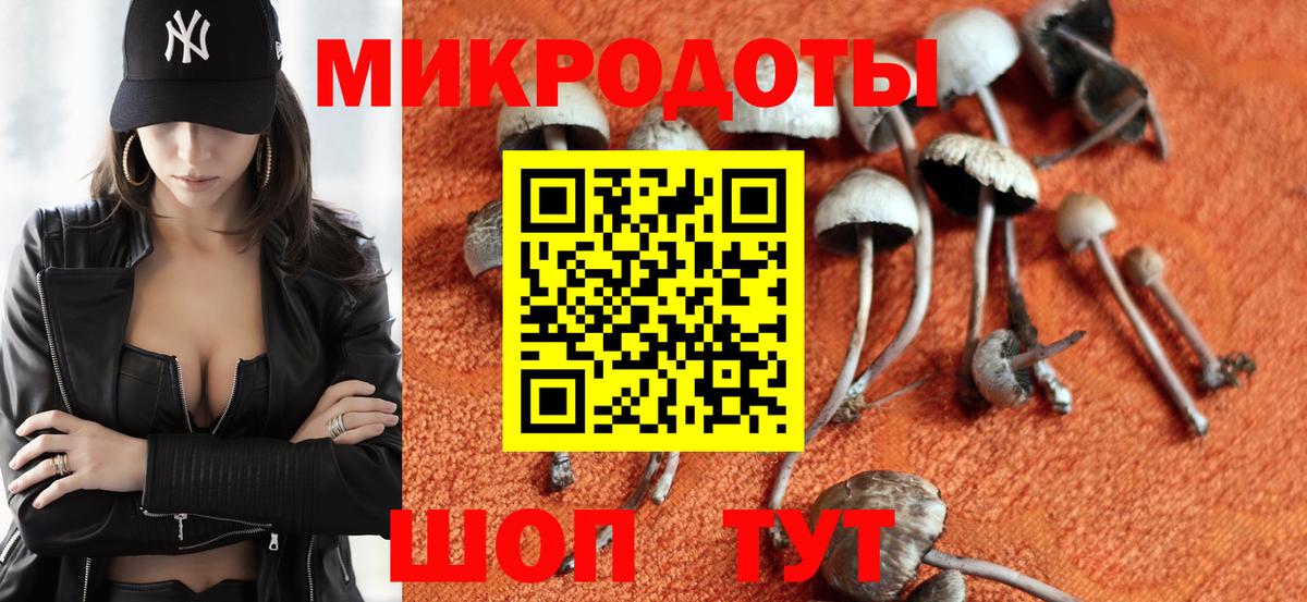 Псилоцибиновые грибы GOLDEN TEACHER Юрга