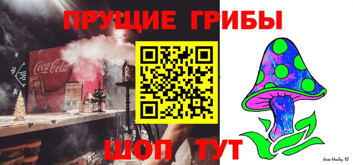 Юрга  Псилоцибиновые грибы Magic Shrooms  Вход с VPN  Псилоцибиновые грибы Cubensis 